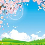 お花見のシート、冷えや湿気、ゴツゴツ感が緩和されるレジャーシートが人気です♪