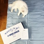 スピードクーラー 敷きパッドを楽天で購入♪口コミと写真